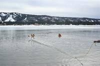 IMG_6204[1]