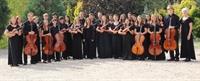 STRINGS in formal 2016