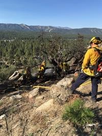 Vegetation Fire Photo (2) 6-4-16