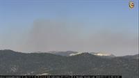 SBCF Forest Pitzer 071720a
