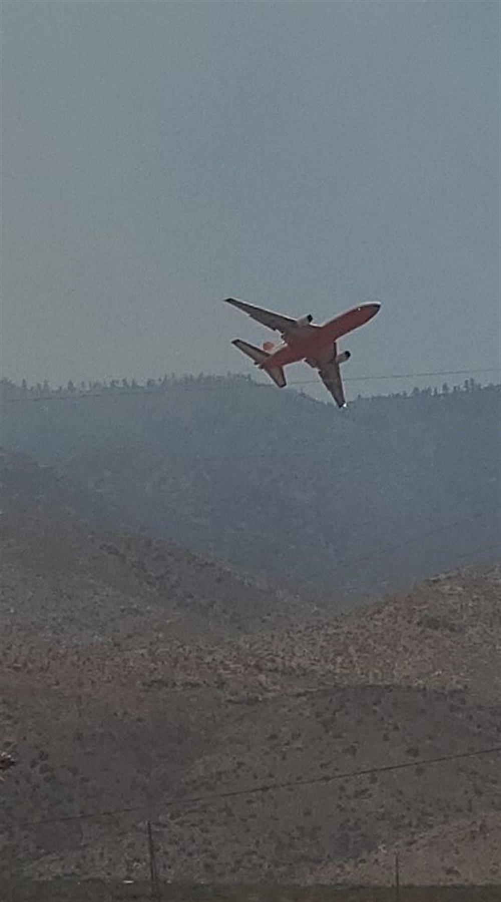 SBCF Forest Pitzer 071720e