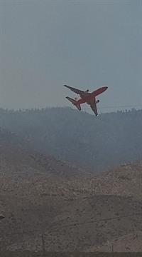 SBCF Forest Pitzer 071720e