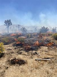 SBCo FIRE Arson  Joshua Tree 051420c