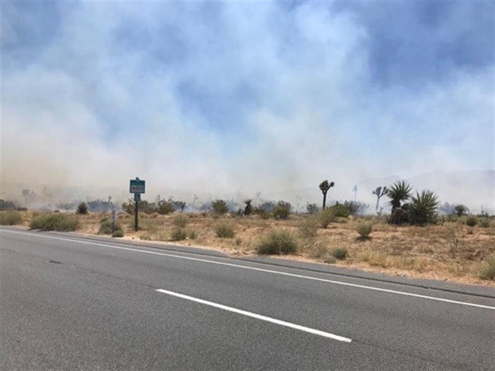 SBCo FIRE Arson  Joshua Tree 051420d