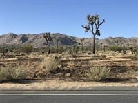 SBCo FIRE Arson  Joshua Tree 051420e