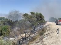 SBCo FIRE Hold at 5 acres 071420