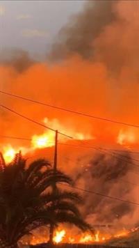 SBCo Fire 2Alarm Veg 090519a