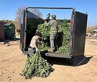 Sheriff Riverside Co
