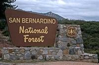 SBN Forest views 