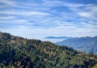 Forest SB our home Fall 2021c