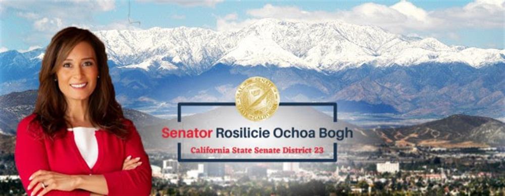 Senator Ocha Bogh April 2022