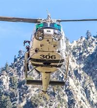 Sheriff AR306rescue 032019. jpg