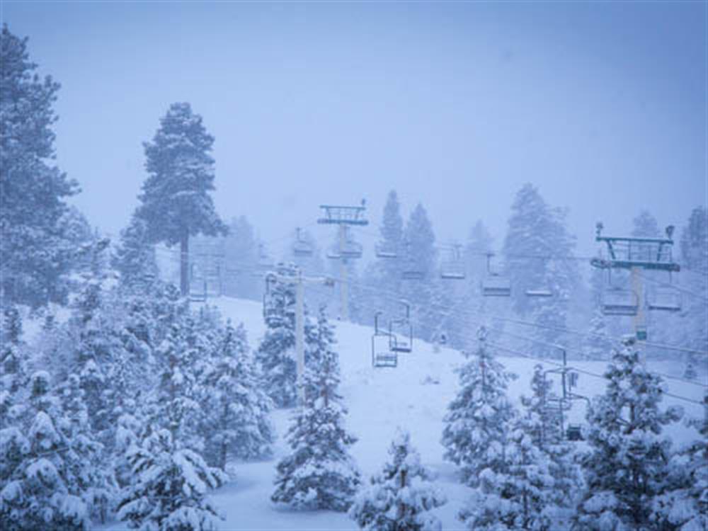 Bear Mt New Year Snow 2015
