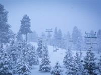 Bear Mt New Year Snow 2015