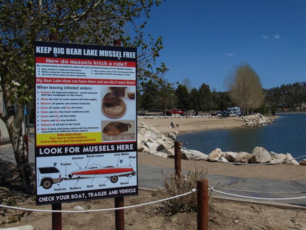 East Boat Ramp 10