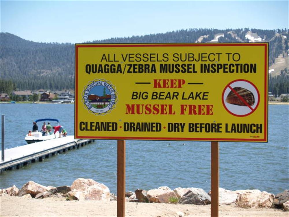 East Boat Ramp 9