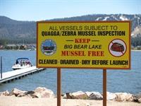 East Boat Ramp 9