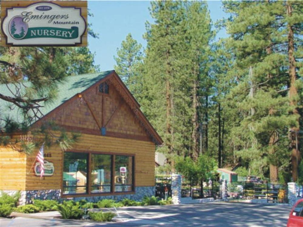 Emingers Mountain Nursery 1