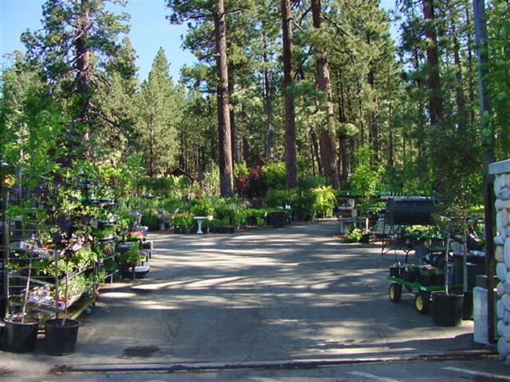 Emingers Mountain Nursery 2