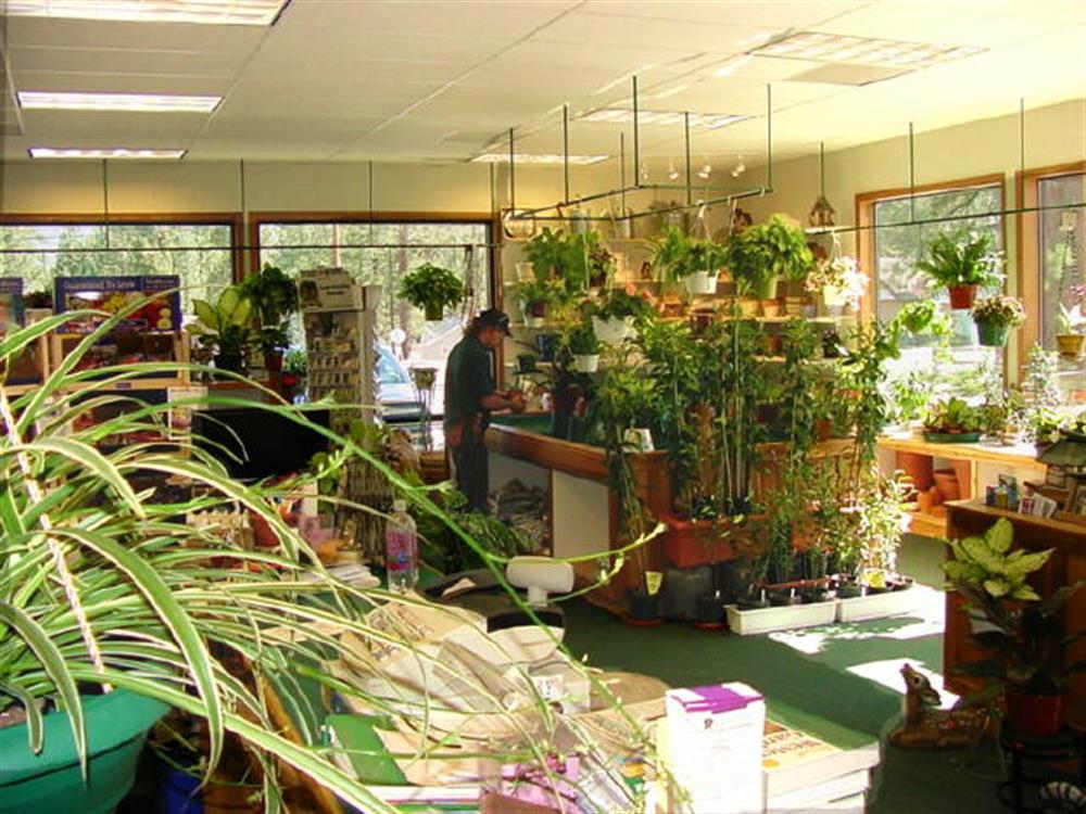 Emingers Mountain Nursery 3
