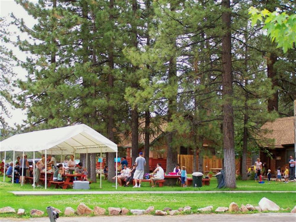 Golden Bear Cottages 15
