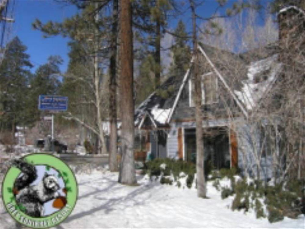 Grey Squirrel Resort 1