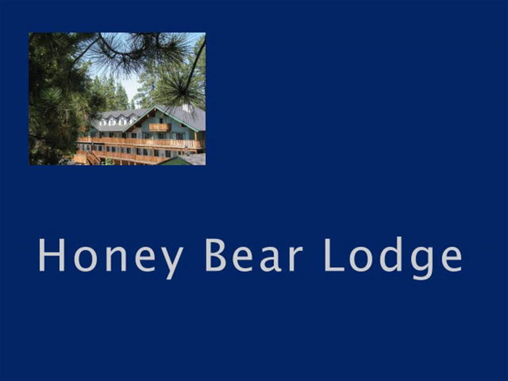 Honey Bear Lodge & Cabins 