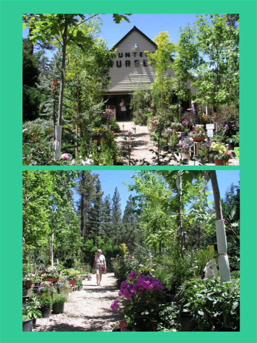Hunter's Nursery & Garden Center 2