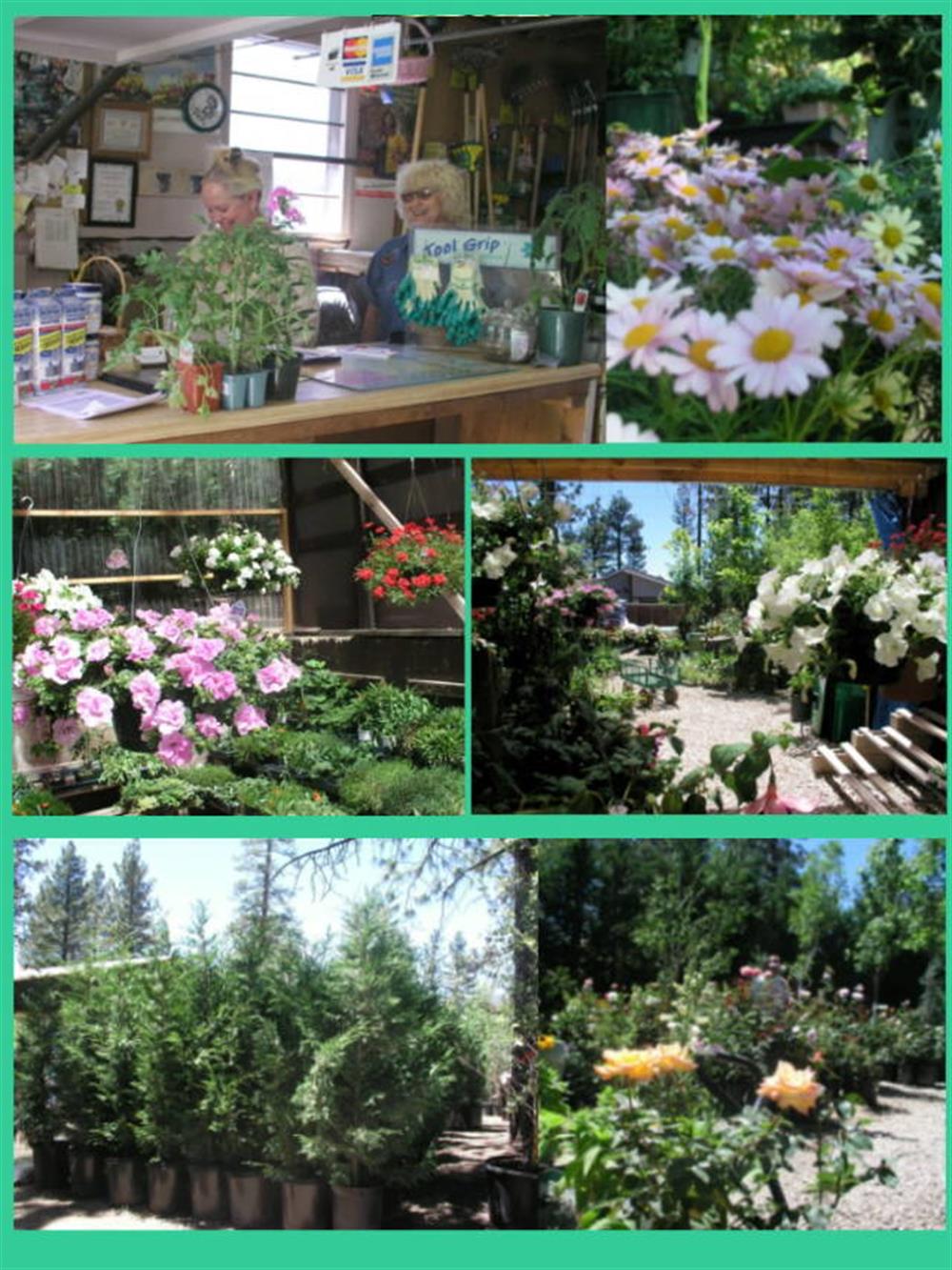 Hunter's Nursery & Garden Center 3