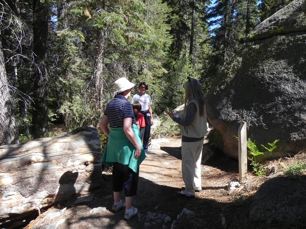 Champion Lodgepole Trail