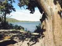 Juniper Point Picnic Area