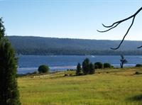 View of the meadow west of Juniper Point