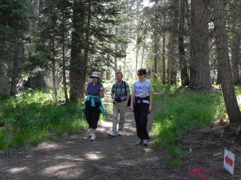 Walking to the Champion Lodgepole Big Bear Lake