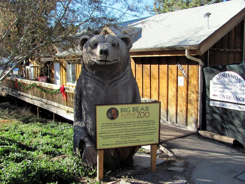 Big BearAlpine Zoo