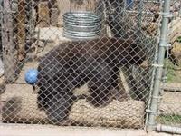 Moonridge Animal Park 10