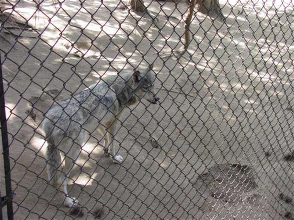 Moonridge Animal Park 12