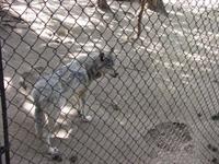 Moonridge Animal Park 12