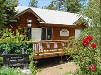 Moonridge Animal Park 1