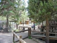 Moonridge Animal Park 2