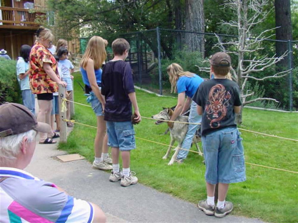 Moonridge Animal Park 4