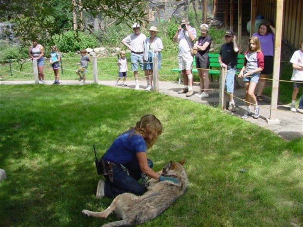 Moonridge Animal Park 5