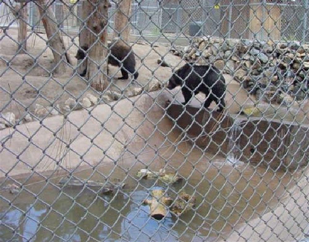 Moonridge Animal Park 6