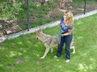 Moonridge Animal Park 8