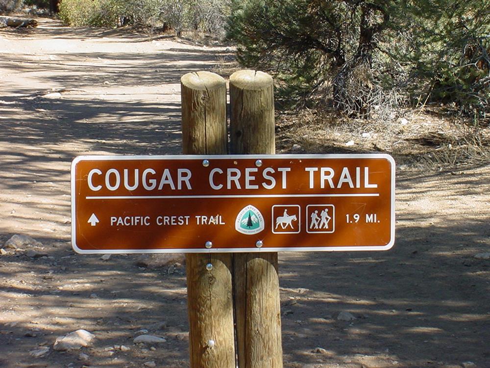 Cougar Crest 2