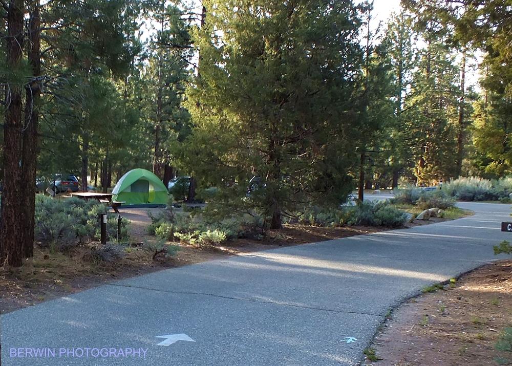 DSCF3848 Serrano Campground Big Bear