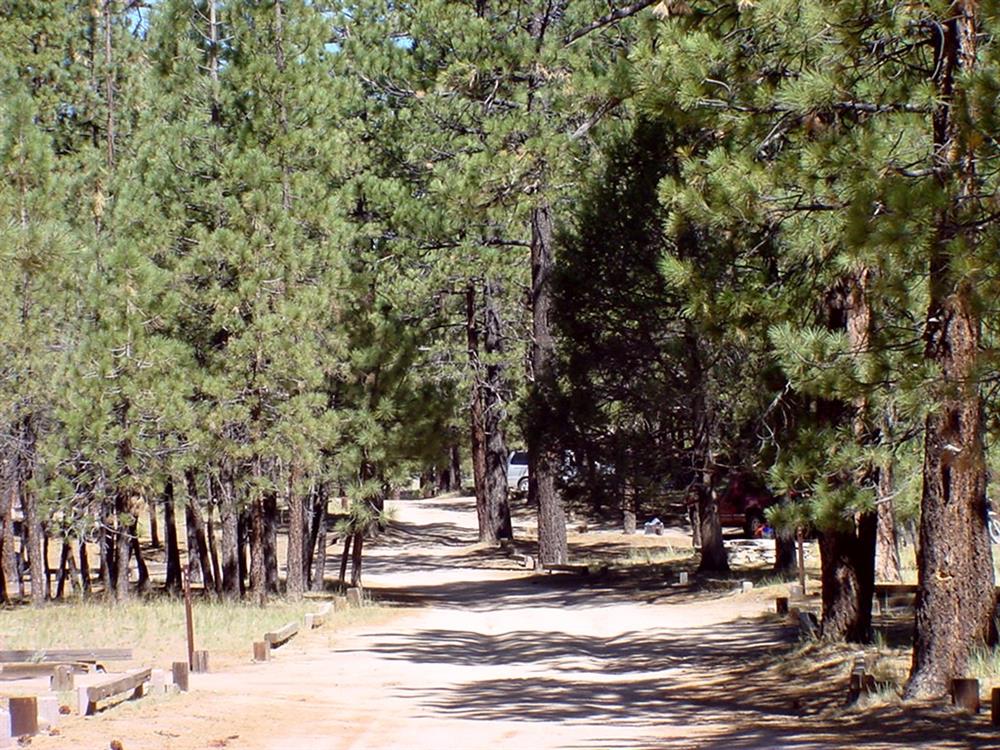 Dirt trail between the campsites