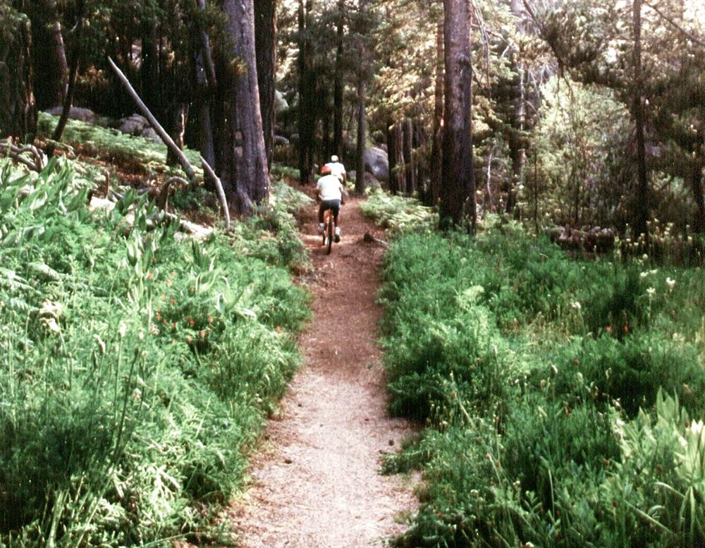 Mountain bikers Siberia Creek