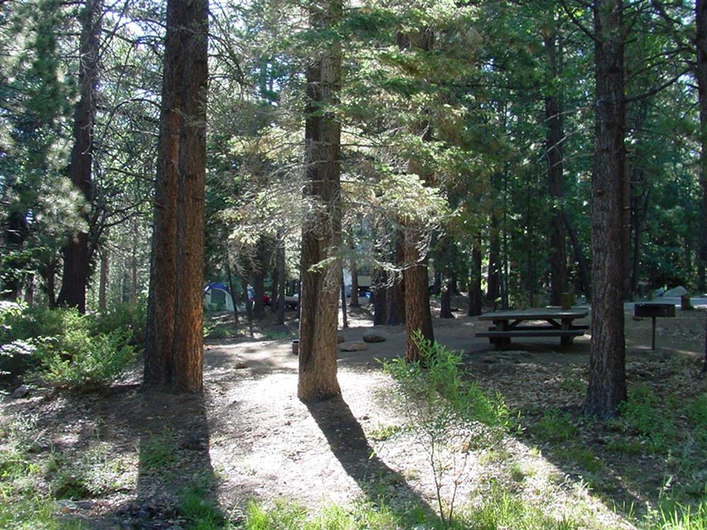Picnic table and grill