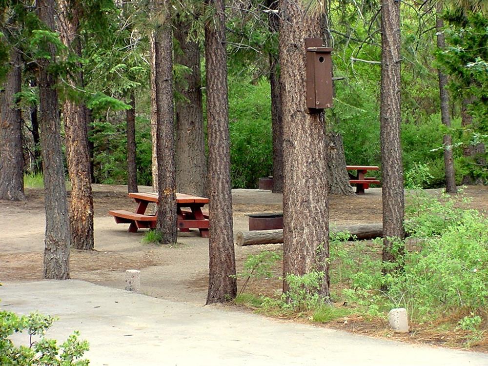 Picnic table & campfire ring Hanna Flat