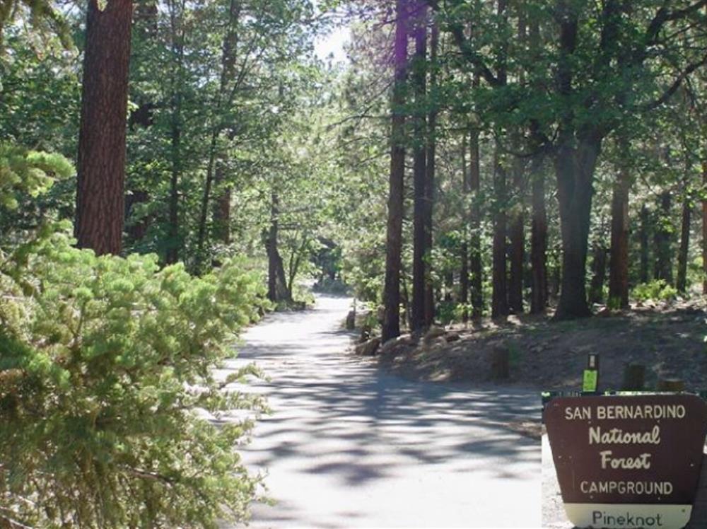 Pine-Knot-Campground-Big-Bear